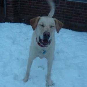 Meet your Posher, Megan